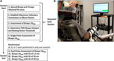 Paired pulse transcranial magnetic stimulation in the assessment of biceps voluntary activation in individuals with tetraplegia